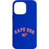 Bay State Boston Custodia per iPhone 14 Pro Max Cape Cod Boston Massachusetts Baseball Logo Abbigliamento