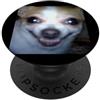 Dog Theme Funny Cute Memes Arts (Chihuah Divertente Chihuahua Viso Sfocato Meme Cane Umorismo PopSockets PopGrip Adesivo