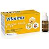 Vitalmix Pappa Reale 10 Flaconcini X10 Ml S/G - 40 Gr