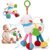 hahaland Giochi Neonato 0-3 Mesi - Sonaglio Neonato Peluche Pecora con 4 Musica, Giochi Sensoriali per Neonati Passeggini e Culle, Sonaglio e Specchio, Regalo Neonati Maschio Femmina 0 3 6 9 Mesi