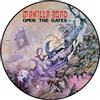 AMPED Open The Gates (Picture Disc Vinyl LP)