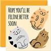 Stuff4 Funny Get Well Soon Cards for Women - Cat Feline Better - Get Well Cards for Men Speedy Recovery Card 145mm Joke Humour Get Well Biglietti di auguri fratello sorella collega migliore amico