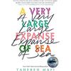 Electric Monkey A Very Large Expanse of Sea: from the bestselling author of the TikTok Made Me Buy It sensation, Shatter Me