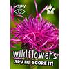 Collins Michelin I-Spy Guides I-Spy Wildflowers Spy It! Score It!