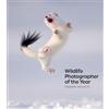 Natural History Museum Wildlife Photographer of the Year: Highlights Volume 10
