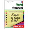 Zanichelli Verbi francesi. Manuale pratico per l'uso [Lingua francese]