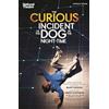 Bloomsbury The Curious Incident of the Dog in the Night-Time