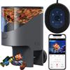 YAMOSO Mangiatoia Pesci WiFi, Telecamera 2.5K HD, App 2.4/5G, Dosaggio Precisione 0,2g Anti-Intasamento per Vacanze, Serbatoio 200ML Anti-Umidità, Programmabile per Acquario Dolce e Marino