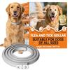 HuakChai Collare Antiparassitario per Cani - Protezione 8 Mesi contro Pulci, Zecche e Zanzare - Impermeabile e Regolabile, Lunghezza 65 cm per Cani di Taglia Piccola, Media e Grande