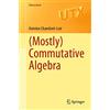 Springer (Mostly) Commutative Algebra