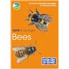 Bloomsbury Wildlife RSPB ID Spotlight - Bees