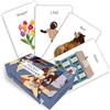 Red Wheel/Weiser Pocket Lenormand : Simply Daily Divination