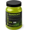 +WATT Ramificati+ Vitamin B Loading Advanced Formula 300 compresse