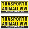 4R Quattroerre.it Adesivi Trasporto Animali Vivi 2 Pezzi da 7,5 x 18 cm