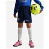 Nike Inter Strike 26 Jr - Abbigliamento Calcio Ufficiale - Color Mix