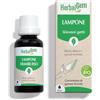 Herbalgem - LAMPONE - Bio