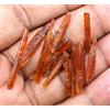Gemsmyriad 26.50 KT 100% Naturale Tanzania Arancione Cianite Lotto Di 12 Pz Esemplare Rough
