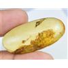 Gemsmyriad 100% Naturale Giallo Ambra 22.25 KT 38 MM Non Trattato Certificato Agrati