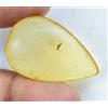 Gemsmyriad 100% Naturale Giallo Ambra con Piccolo Insetto Inside 12.75 KT Certificato Gemma