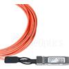 BlueOptics Cavo ottico attivo (AOC) Sundray SFP-10G-AOC-30M SFP+ compatibile, 10GBASE-SR, Ethernet, Infiniband, 30 metri (SFP-10G-AOC-30M-BO)