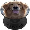 Golden Retriever Photo Studios Ritratto di cane Golden Retriever felice PopSockets PopGrip Adesivo