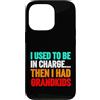 Grandma Humorous For Mom Vintage Style Custodia per iPhone 13 Pro Usato Charge poi aveva nipoti divertente detto