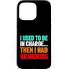 Grandma Humorous For Mom Vintage Style Custodia per iPhone 15 Pro Max Usato Charge poi aveva nipoti divertente detto