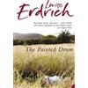 Harper Perennial The Painted Drum: A Literary Fiction Saga of Magical Realism and Complex Family History
