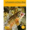 Sekotia S.L. Presentación en la pesca mosca: La visión más amplia de la pesca con mosca que un pescador puede concebir