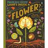 Dragonfly Books What's Inside A Flower?: And Other Questions About Science & Nature