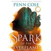 Headline Home Spark of the everflame: The first book in an irresistibly epic, enemies-to-lovers romantasy series