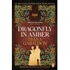 Arrow Dragonfly In Amber: (Outlander 2): 02: The spellbinding Scottish historical romance from the epic, bestselling series (Outlander 2)