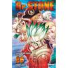 GLENAT JEUNESSE Dr. Stone - Numero 26 (Ensemble vers un avenir follement excitant) [Edizione Francese]