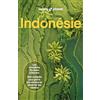 Lonely Planet Indonésie: Itinéraires, expériences, conseils pratiques