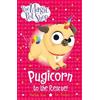 Matilda Rose The Magic Pet Shop Stories: Pugicorn to the Rescue! (Tascabile)