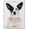Taschen The Dog in Photography 1839-Today