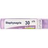 BOIRON SRL STAPHYSAGRIA*30CH 80GR 4G BO