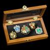 Harry Potter Hogwarts House Pin - Five pin in vetrina. Harry Potter Noble Collection, Argento