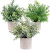 OUTLEE Confezione da 3 mini piante artificiali in vaso di eucalipto in finto bosso rosmarino verde in vasi piccole piante da appartamento per la decorazione della casa, ufficio, scrivania, doccia e