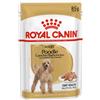 Royal Canin per Cane Poodle Adult (Barboncino) da 85 g