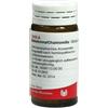 WALA ITALIA Srl WALA Belladonna Chamom.Glob.20g