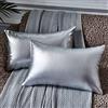 EUCIOR Confezione da 2 federe per cuscino rettangolari moderne metallizzate lucide, cuscino decorativo rettangolare, argento per divano/letto/feste, champagne, 30,5 x 50,8 cm (argento)