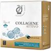 Biodue Fitopreparatori Italiani - Collagene Attivo � 15 fiale da 25 ml - Agg.