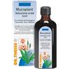 Dr. Theiss Theiss Mucoplant Sedi 100 Ml ml Sciroppo