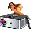 OEM Proiettore, 40.000 lumen ANSI, risoluzione 1920 x 1080 pixel, supporta HDMI, dimensioni: 30 x 17 x 30 cm, audio integrato