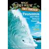 Penguin Tsunamis and Other Natural Disasters: A Nonfiction Companion to Magic Tree House #28: High Tide in Hawaii: 15