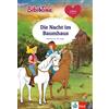 Klett Bibi & Tina: Die Nacht im Baumhaus: Erstleser 2. Klasse, ab 7 Jahren