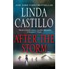 Minotaur Books After the Storm