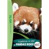Hachette Jeunesse Expédition au pays des pandas roux: 16