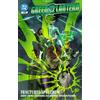 DC Comics Green Lantern Vol. 5: Fractured Spectrum